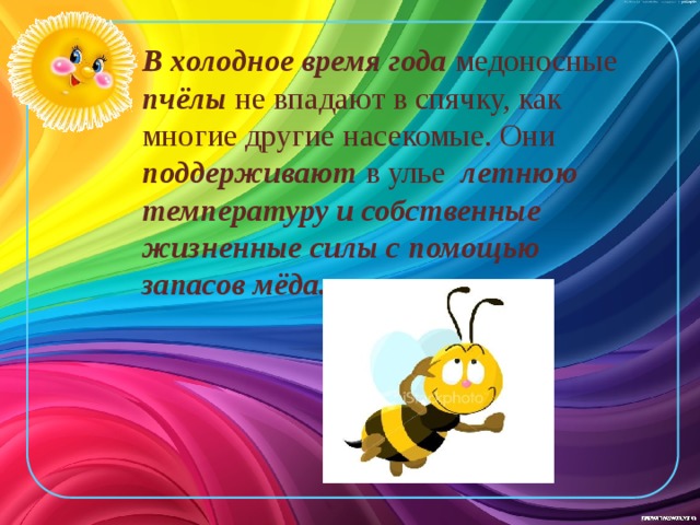 В холодное время года медоносные пчёлы не впадают в спячку, как многие другие насекомые. Они поддерживают в улье летнюю температуру и собственные жизненные силы с помощью запасов мёда. 
