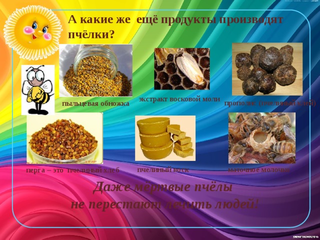 А какие же ещё продукты производят пчёлки? экстракт восковой моли прополис (пчелиный клей) пыльцевая обножка маточное молочко пчелиный воск перга – это пчелиный хлеб Даже мёртвые пчёлы не перестают лечить людей! 