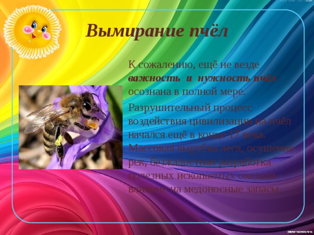 Вымирание пчёл К сожалению, ещё не везде важность и нужность пчёл осознана в полной мере. Разрушительный процесс воздействия цивилизации на пчёл начался ещё в конце 17 века. Массовая вырубка леса, осушение рек, безжалостная разработка полезных ископаемых оказали влияние на медоносные запасы. 