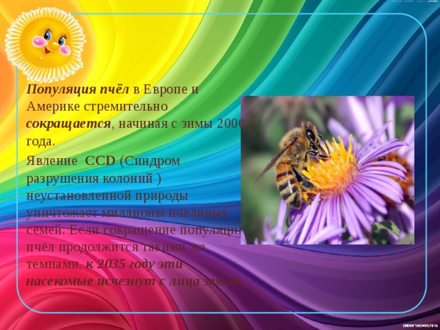 Популяция пчёл в Европе и Америке стремительно сокращается , начиная с зимы 2006 года. Явление CCD (Синдром разрушения колоний ) неустановленной природы уничтожает миллионы пчелиных семей. Если сокращение популяции пчёл продолжится такими же темпами, к 2035 году эти насекомые исчезнут с лица земли. 