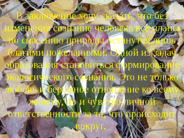 В заключение хочу сказать, что без изменения сознание человека все планы по спасению природы останутся лишь благими пожеланиями. Одной из задач образования становиться формирование экологического сознания. Это не только любовь и бережное отношение ко всему живому, но и чувство личной ответственности за то, что происходит вокруг. 