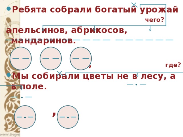 Ребята собрали богатый урожай  чего? апельсинов, абрикосов, мандаринов.   , , где? Мы собирали цветы не в лесу, а в поле.   , а 