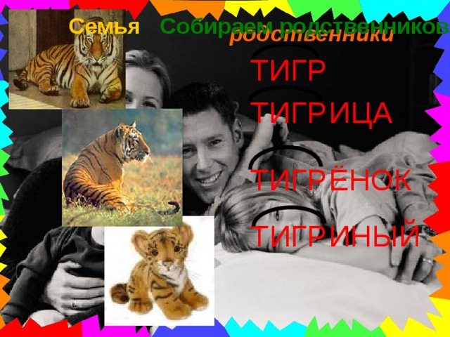 Семья Собираем родственников родственники ТИГР ТИГР ИЦА ЁНОК ТИГР ТИГР ИНЫЙ 