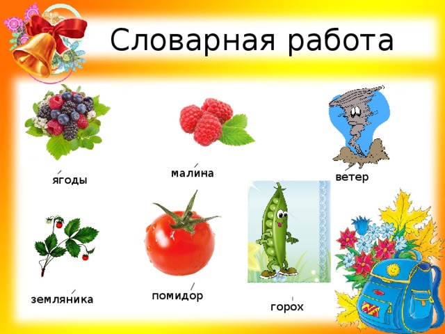Словарная работа малина ветер ягоды помидор земляника горох 