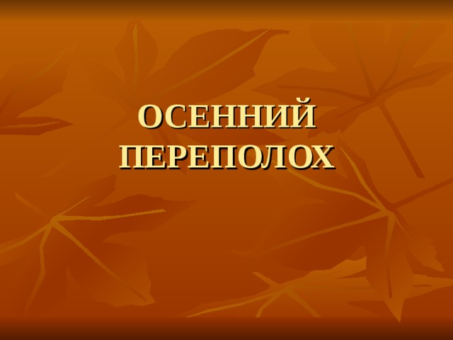 ОСЕННИЙ  ПЕРЕПОЛОХ 