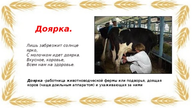 Доярка.  Лишь забрезжит солнце ярко,  С молочком идет доярка.  Вкусное, коровье,  Всем нам на здоровье. Доярка -работница животноводческой фермы или подворья, доящая коров (чаще доильным аппаратом) и ухаживающая за ними 