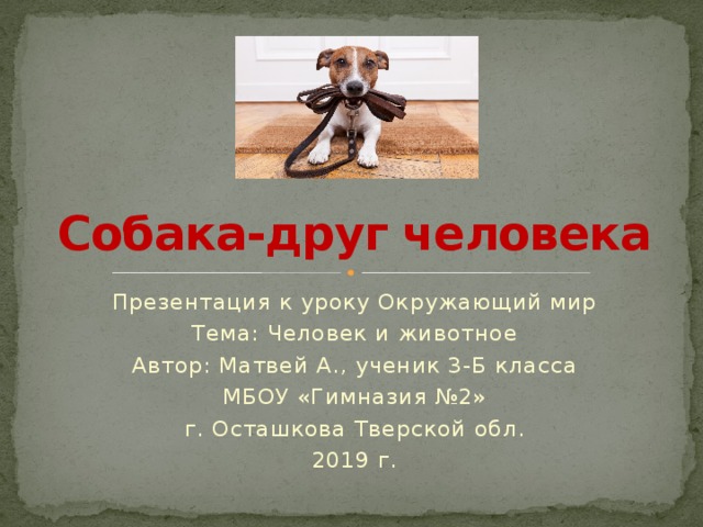 Собака-друг человека Презентация к уроку Окружающий мир Тема: Человек и животное Автор: Матвей А., ученик 3-Б класса МБОУ «Гимназия №2» г. Осташкова Тверской обл. 2019 г. 