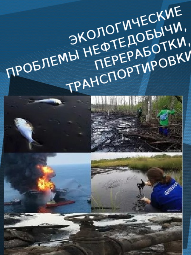 ЭКОЛОГИЧЕСКИЕ ПРОБЛЕМЫ НЕФТЕДОБЫЧИ, ПЕРЕРАБОТКИ, ТРАНСПОРТИРОВКИ 
