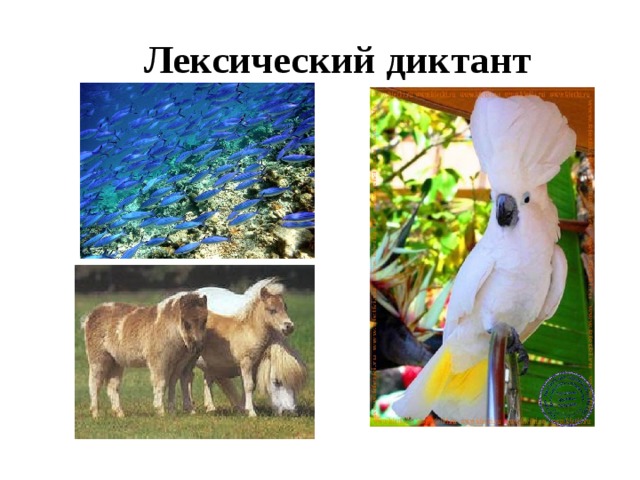 Лексический диктант 