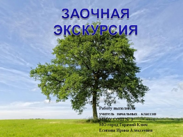 Работу выполнила учитель начальных классов МБОУ СОШ № 3 МО город Горячий Ключ Есипова Ирина Алексеевна Powerpoint Templates 