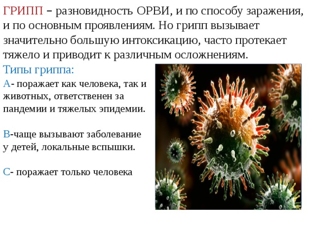 ГРИПП  – разновидность   ОРВИ, и по способу заражения, и по основным проявлениям. Но грипп вызывает значительно большую интоксикацию, часто протекает тяжело и приводит к различным осложнениям. Типы гриппа: А - поражает как человека, так и животных, ответственен за пандемии и тяжелых эпидемии. В -чаще вызывают заболевание у  детей, локальные вспышки. С - поражает только человека 