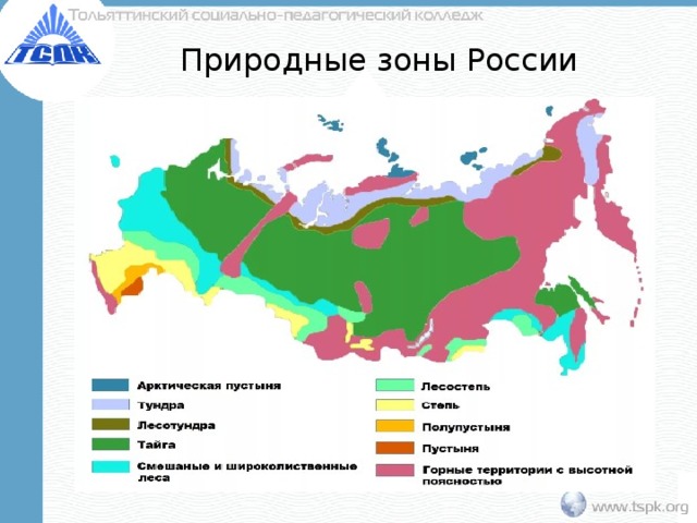 Природные зоны России 