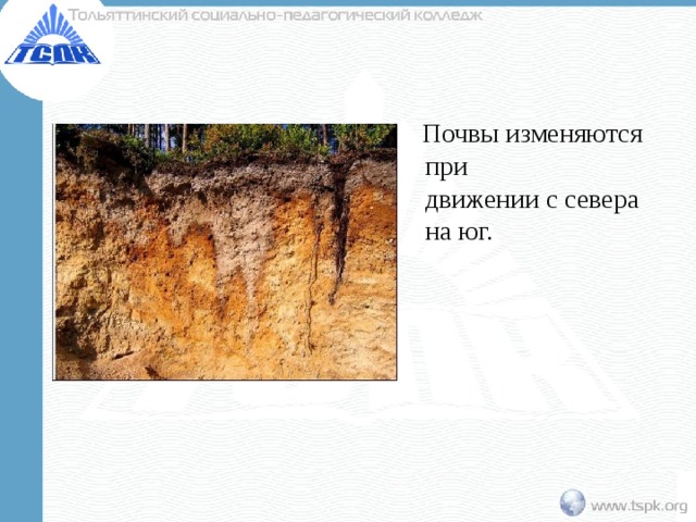  Почвы изменяются при  движении с севера на юг. 