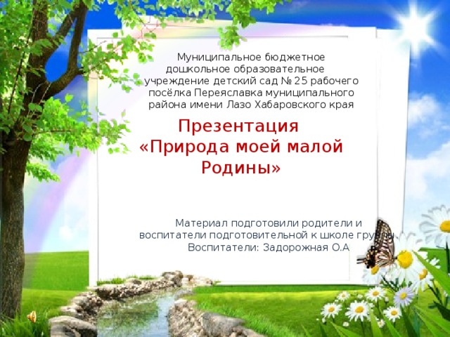 Муниципальное бюджетное дошкольное образовательное учреждение детский сад № 25 рабочего посёлка Переяславка муниципального района имени Лазо Хабаровского края Презентация «Природа моей малой Родины» Материал подготовили родители и воспитатели подготовительной к школе группы. Воспитатели: Задорожная О.А 