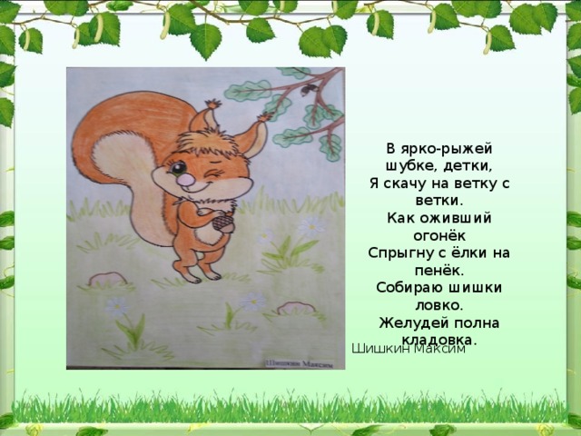 В ярко-рыжей шубке, детки,  Я скачу на ветку с ветки.  Как оживший огонёк  Спрыгну с ёлки на пенёк.  Собираю шишки ловко.  Желудей полна кладовка. Шишкин Максим 