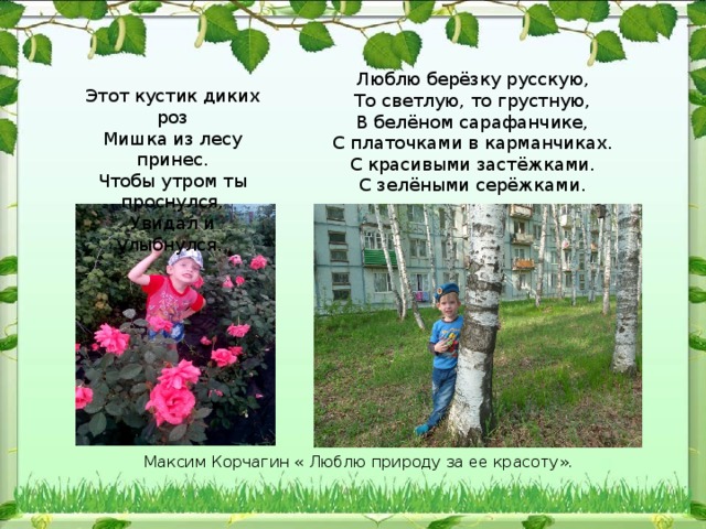. Люблю берёзку русскую,  То светлую, то грустную,  В белёном сарафанчике,  С платочками в карманчиках.  С красивыми застёжками.  С зелёными серёжками. Этот кустик диких роз  Мишка из лесу принес.  Чтобы утром ты проснулся,  Увидал и улыбнулся. Максим Корчагин « Люблю природу за ее красоту».  