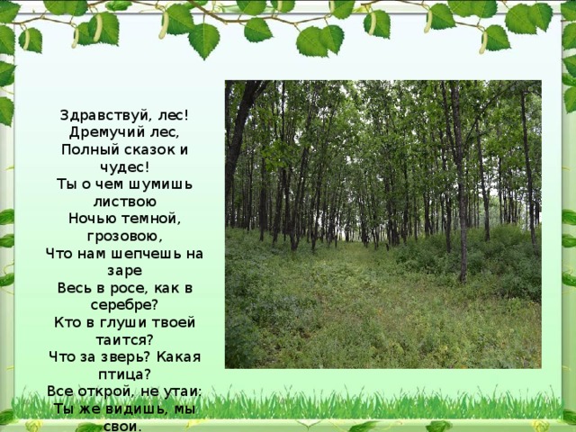Здравствуй, лес!  Дремучий лес,  Полный сказок и чудес!  Ты о чем шумишь листвою  Ночью темной, грозовою,  Что нам шепчешь на заре  Весь в росе, как в серебре?  Кто в глуши твоей таится?  Что за зверь? Какая птица?  Все открой, не утаи:  Ты же видишь, мы свои.   