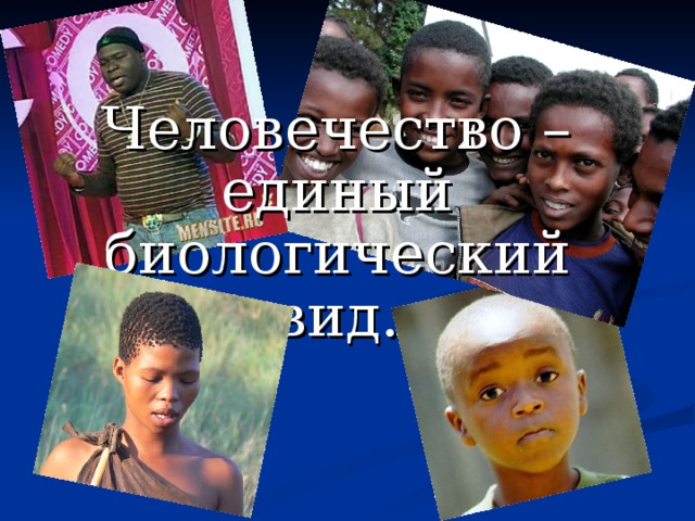 Человечество – единый биологический вид. 