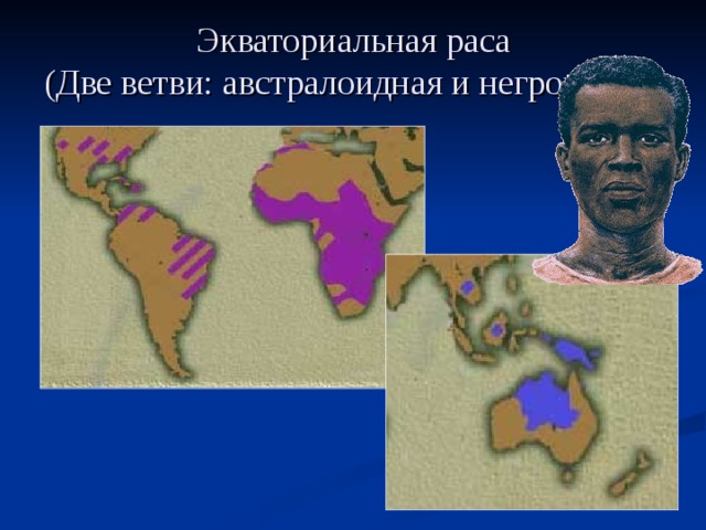 Экваториальная раса  (Две ветви: австралоидная и негроидная) 