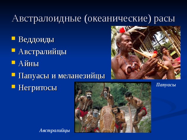 Австралоидные (океанические) расы Веддоиды Австралийцы Айны Папуасы и меланезийцы Негритосы Папуасы Австралийцы 
