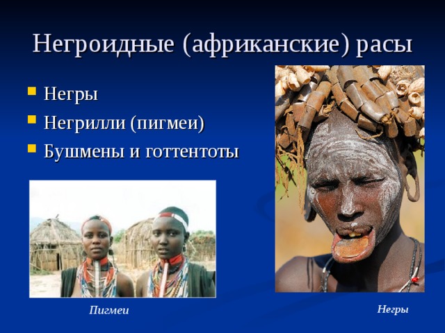 Негроидные (африканские) расы Негры Негрилли (пигмеи) Бушмены и готтентоты  Негры Пигмеи 