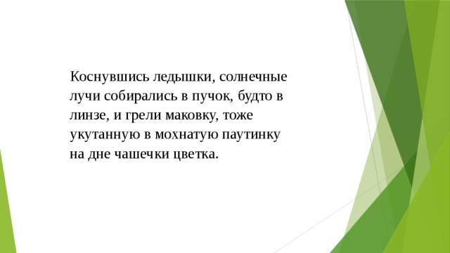 Коснувшись ледышки, солнечные лучи собирались в пучок, будто в линзе, и грели маковку, тоже укутанную в мохнатую паутинку на дне чашечки цветка.   