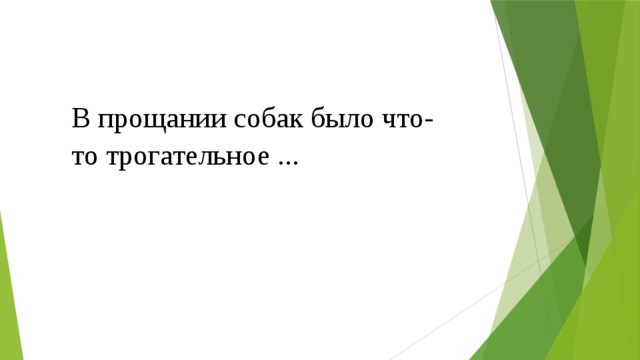 В прощании собак было что-то трогательное ... 