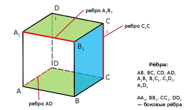 D 1 ребро A 1 B 1 C 1 ребро C 1 C A 1 B 1 D Рёбра: АВ, ВС, CD, AD, А 1 В 1 В 1 С 1 , C 1 D 1 , A 1 D 1    АА 1 , ВВ 1 , СС 1 , DD 1 — боковые рёбра C A B ребро AD 