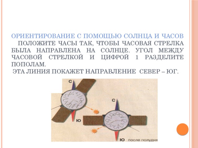 Ориентирование с помощью солнца и часов  Положите часы так, чтобы часовая стрелка была направлена на солнце. Угол между часовой стрелкой и цифрой 1 разделите пополам.  Эта линия покажет направление север – юг. 