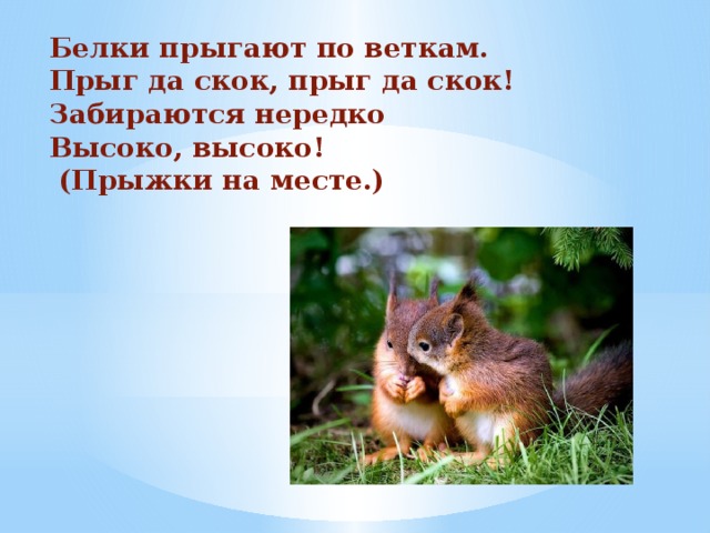 Белки прыгают по веткам.  Прыг да скок, прыг да скок!  Забираются нередко  Высоко, высоко!  (Прыжки на месте.) 