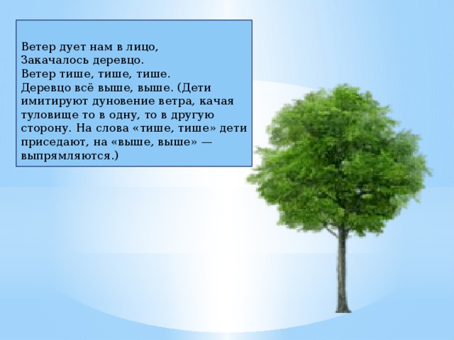  Ветер дует нам в лицо,  Закачалось деревцо.  Ветер тише, тише, тише.  Деревцо всё выше, выше. (Дети имитируют дуновение ветра, качая туловище то в одну, то в другую сторону. На слова «тише, тише» дети приседают, на «выше, выше» — выпрямляются.) 