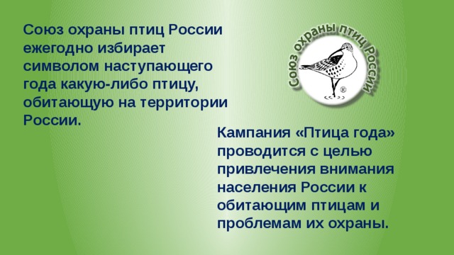 Союз охраны птиц России ежегодно избирает символом наступающего года какую-либо птицу, обитающую на территории России. Кампания «Птица года» проводится с целью привлечения внимания населения России к обитающим птицам и проблемам их охраны. 