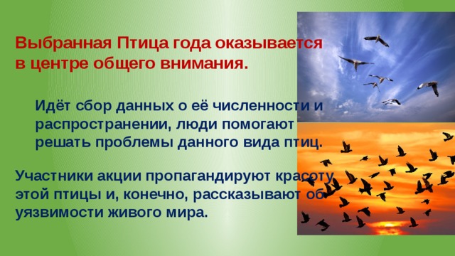 Выбранная Птица года оказывается в центре общего внимания. Идёт сбор данных о её численности и распространении, люди помогают решать проблемы данного вида птиц. Участники акции пропагандируют красоту этой птицы и, конечно, рассказывают об уязвимости живого мира. 