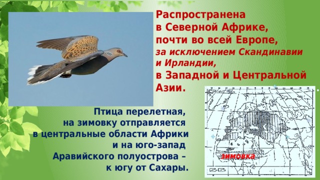 Распространена в Северной Африке, почти во всей Европе, за исключением Скандинавии и Ирландии, в Западной и Центральной Азии. Птица перелетная, на зимовку отправляется в центральные области Африки и на юго-запад Аравийского полуострова – к югу от Сахары. зимовка 
