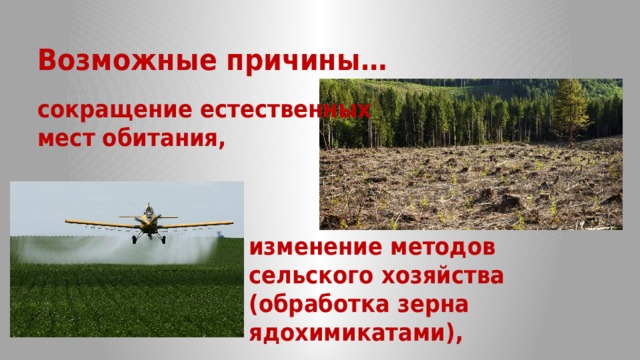 Возможные причины… сокращение естественных мест обитания, изменение методов сельского хозяйства (обработка зерна ядохимикатами), 