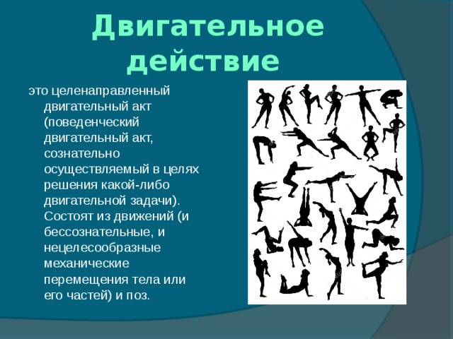 Двигательное действие это целенаправленный двигательный акт (поведенческий двигательный акт, сознательно осуществляемый в целях решения какой-либо двигательной задачи). Состоят из движений (и бессознательные, и нецелесообразные механические перемещения тела или его частей) и поз. 