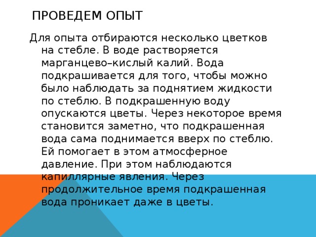 Проведем опыт   Для опыта отбираются несколько цветков на стебле. В воде растворяется марганцево–кислый калий. Вода подкрашивается для того, чтобы можно было наблюдать за поднятием жидкости по стеблю. В подкрашенную воду опускаются цветы. Через некоторое время становится заметно, что подкрашенная вода сама поднимается вверх по стеблю. Ей помогает в этом атмосферное давление. При этом наблюдаются капиллярные явления. Через продолжительное время подкрашенная вода проникает даже в цветы. 