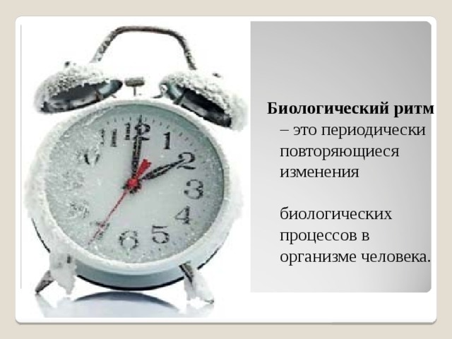 Биологический ритм – это периодически повторяющиеся изменения биологических процессов в организме человека. 