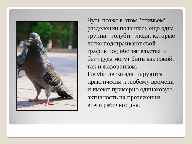 Чуть позже в этом 
