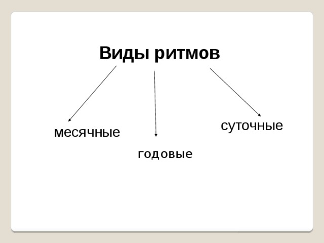  Виды ритмов месячные суточные Г  годовые огггчные 