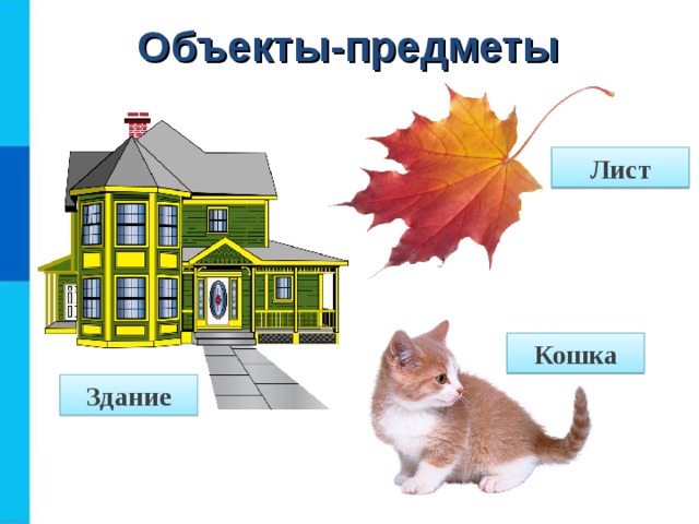Объекты-предметы Лист Кошка Здание  