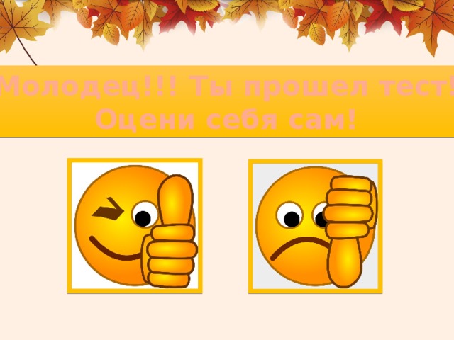 Молодец!!! Ты прошел тест! Оцени себя сам! 