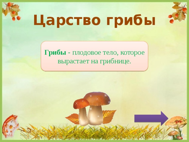 Царство грибы Грибы - плодовое тело, которое вырастает на грибнице. 