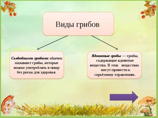 Виды грибов Ядовитые грибы — грибы, содержащие ядовитые вещества. В этих веществах могут привести к серьёзному отравлению. Съедобными грибами обычно называют грибы, которые можно употреблять в пищу без риска для здоровья. 