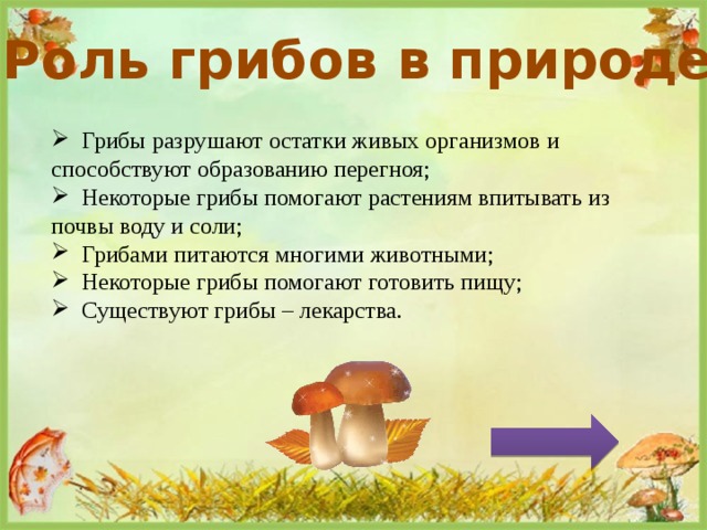Роль грибов в природе  Грибы разрушают остатки живых организмов и способствуют образованию перегноя;  Некоторые грибы помогают растениям впитывать из почвы воду и соли;  Грибами питаются многими животными;  Некоторые грибы помогают готовить пищу;  Существуют грибы – лекарства. 