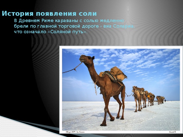 История появления соли В Древнем Риме караваны с солью медленно брели по главной торговой дороге - виа Солариа, что означало «Соляной путь».