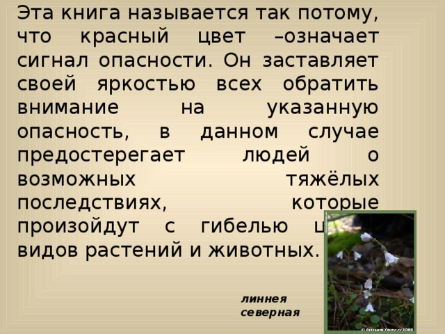Эта книга называется так потому, что красный цвет –означает сигнал опасности. Он заставляет своей яркостью всех обратить внимание на указанную опасность, в данном случае предостерегает людей о возможных тяжёлых последствиях, которые произойдут с гибелью целых видов растений и животных. линнея северная                                         
