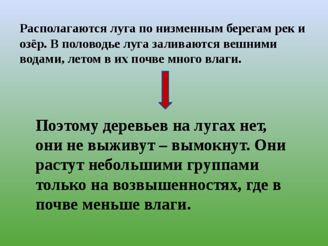 Располагаются луга по низменным берегам рек и озёр. В половодье луга заливаются вешними водами, летом в их почве много влаги.   Поэтому деревьев на лугах нет, они не выживут – вымокнут. Они растут небольшими группами только на возвышенностях, где в почве меньше влаги. 