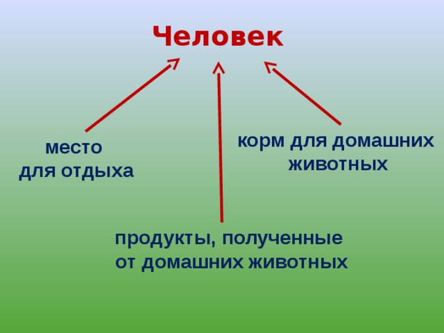 Человек корм для домашних  животных место  для отдыха продукты, полученные  от домашних животных 