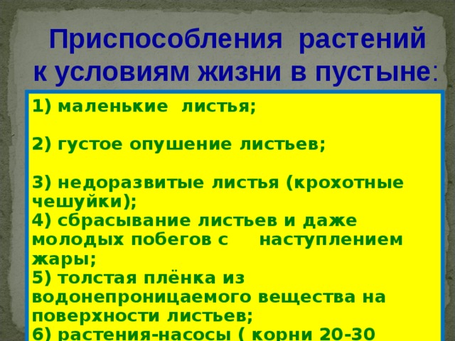  Приспособления растений к условиям жизни в пустыне : 1) маленькие листья; 2) густое опушение листьев; 3) недоразвитые листья (крохотные чешуйки); 4) сбрасывание листьев и даже молодых побегов с наступлением жары; 5) толстая плёнка из водонепроницаемого вещества на поверхности листьев; 6) растения-насосы ( корни 20-30 метров ); 7) утолщённые стебли или листья . 